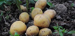 Jedno gospodarstwo na mapie!