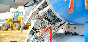 Zawody, które będą szczególnie poszukiwane