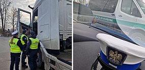 Posypały się mandaty