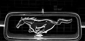 Ford Mustang zadebiutuje w roli radiowozu