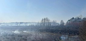 Straż Pożarna walczy z pożarem; płonie 25 hekt