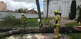 Chaos po wichurze! Zniszczenia w Pułtusku