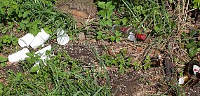 Jedna butelka może zabić. Apel znad Narwi