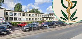 Medyczna marihuana w Pułtusku. Rusza poradnia
