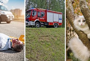 Kot uwięziony na drzewie kilka dni – pomogli strażacy z Pułtuska!-32240