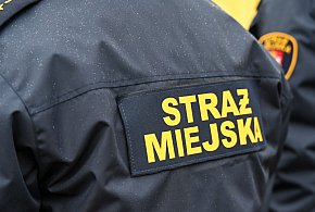 Zapuka strażnik, zapłacisz karę. Ruszyły kontrole w całej Polsce-32884