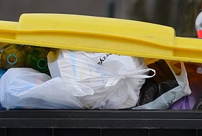 Tyle kosztowała gospodarka odpadami w 2024 roku. Wzrost o 70 proc. w 5 lat-33768