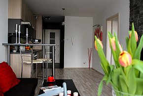 Rewolucja w wynajmie na doby. Nadchodzi koniec "wolnej amerykanki"-34196