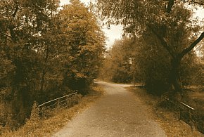 Ponad 2 km dróg do przebudowy. Co się zmieni w Dzbanicach?-34365