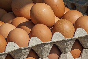 Salmonella wykryta w jajach! GIS wydał pilne ostrzeżenie-34499