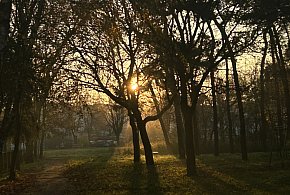 Nadchodzi najkrótszy dzień w 2025 roku. Sprawdź, kiedy przypadnie-34575