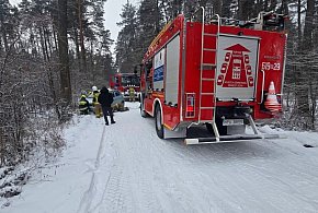 Strażacy nie mieli chwili spokoju. Co działo się w powiecie pułtuskim?-35197