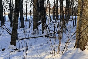 Nadchodzące dni będą zimne i słoneczne, miejscami temp. spadnie do -25-35365