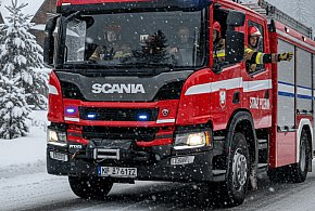 „Green Lights” jak w USA i Kanadzie. Polska wchodzi w to na serio?