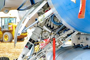 Zawody, które będą szczególnie poszukiwane! Warto je poznać!