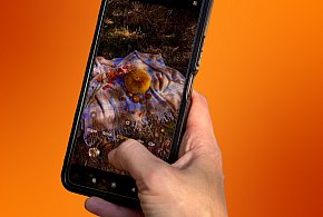 34 mln zł kary dla Orange. Zerknij za co!