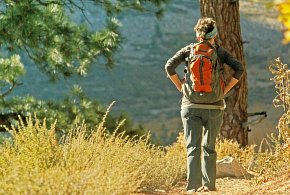 Diecezja przygotowuje pielgrzymkę śladami św. Stanisława Kostki