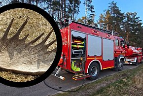 Niebezpieczne popołudnie. Służby w działaniu