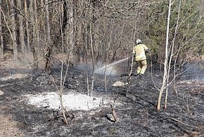 O krok od tragedii! Leśne pożary w gminie Zatory!