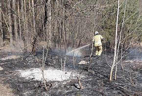 Seria zdarzeń w Pułtusku! Nawet kot potrzebował ratunku