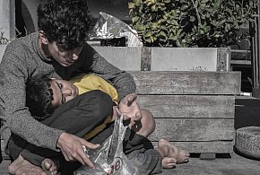 Nikt nie jest w stanie ich policzyć