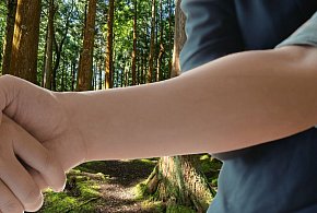 Sprzedaż lasu w regionie Pułtuska? Nadleśnictwo ogłosiło warunki