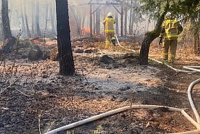 Sekundy od katastrofy! Leśniczy uratował życie i dom