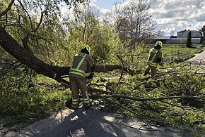 Awaryjne przerwy w dostawie prądu w powiecie pułtuskim
