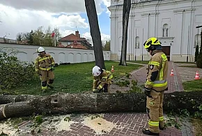 Chaos po wichurze! Zniszczenia w Pułtusku i okolicach