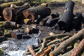Ogień w lasach i na posesjach. Aż 15 interwencji straży