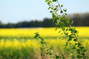Najbliższe dwa dni przyniosą stopniową poprawę pogody