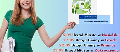 Konsultacje z ekspertem ds. efektywności energetycznej-752
