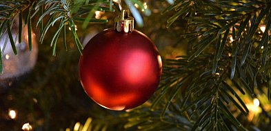 Świąteczny cud w Pułtusku! MOPS rozda choinki potrzebującym!-34284