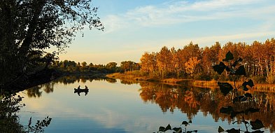 Rolne, budowlane, rekreacyjne – listopad przyniósł lawinę ofert!-34335