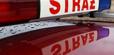 361 pożarów w pierwszy dzień świąt; zginęły dwie osoby-34748