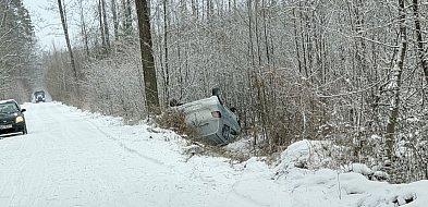 Dachowanie w lesie pod Pułtuskiem. Strażacy znów w akcji [FILM]-35155