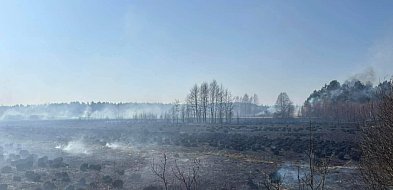 Straż Pożarna walczy z pożarem; płonie 25 hektarów lasu i łąk