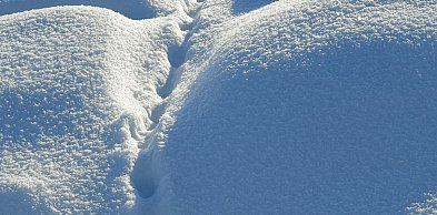 Zwłoki zaginionej 67-latki odkryto w zaspie śniegu; zatrzymano 45-latka