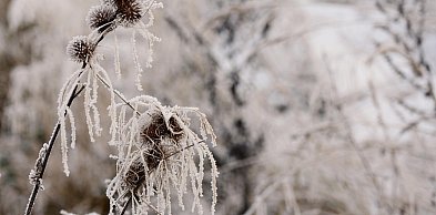 IMGW ostrzega przed silnym mrozem i opadami marznącymi