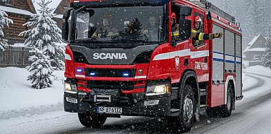 „Green Lights” jak w USA i Kanadzie. Polska wchodzi w to na serio?