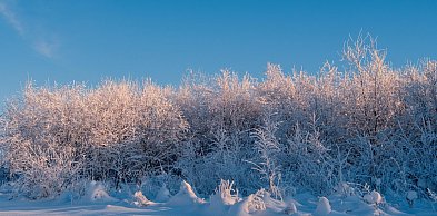 W najbliższych dniach rozpogodzenia, opady śniegu i mróz do minus 25 st. C