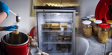 „Dobro się gotuje” w Pułtusku. Kto stoi za pełną lodówką?
