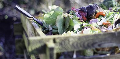 Zdecydowali się policzyć... kompost!