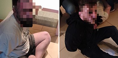 Kradli w Pułtusku i regionie. Łupy liczone w setkach tysięcy