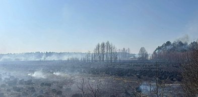 Straż Pożarna walczy z pożarem; płonie 25 hektarów lasu i łąk