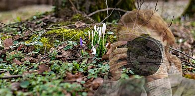 Wiosna w Pułtusku startuje wcześniej. Zobacz atrakcje