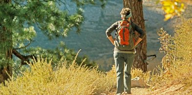 Diecezja przygotowuje pielgrzymkę śladami św. Stanisława Kostki