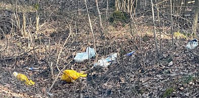 Efekt ekologiczny? Minęło już ponad ćwierć wieku...