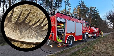 Niebezpieczne popołudnie. Służby w działaniu