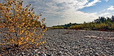 PIG-PIB nadal ostrzega przed niżówką